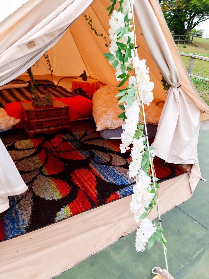 Walnut Tree Glamping Hotel Sturry Exterior photo